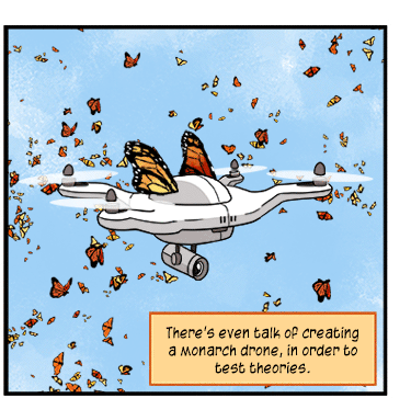 Text: There’s even talk of creating a monarch drone, in order to test theories. Illustration: Animated image of white drone carrying two monarch butterflies and surrounded by many more.
