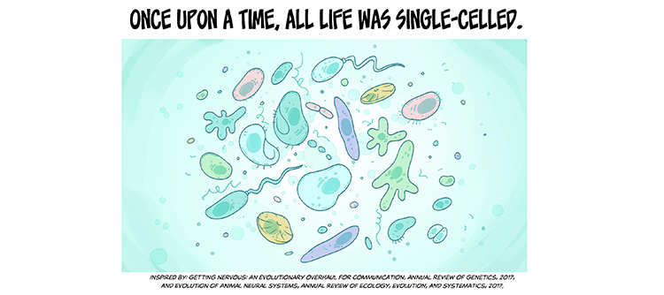 Text: Once upon a time, all life was single-celled. Illustration: In a softly backlit scene from a microscope slide, a colorful collection of single celled organisms of all shapes and sizes loosely fills a circular space in the frame. Subtitle: Inspired by: Getting Nervous: An Evolutionary Overhaul for Communication, Annual Review of Genetics, 2017, and Evolution of Animal Neural Systems, Annual Review of Ecology, Evolution, and Systematics, 2017.