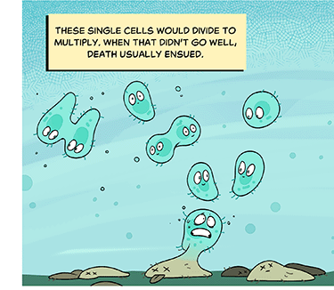 Text: These single cells would divide to multiply. When that didn’t go well, death usually ensued. Illustration: A progression of green cells with hairlike cilia swim in a shallow sea. They begin to split into two new cells, some successfully, some not. The dead litter the sea floor.