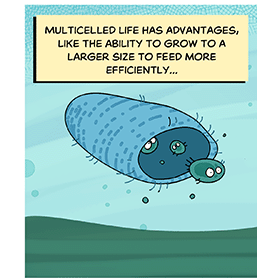 Text: Multicelled life has advantages, like the ability to grow to a larger size to feed more efficiently... Illustration: Back on the sea floor, a featureless tube made up of many cells swallows up lone stragglers.