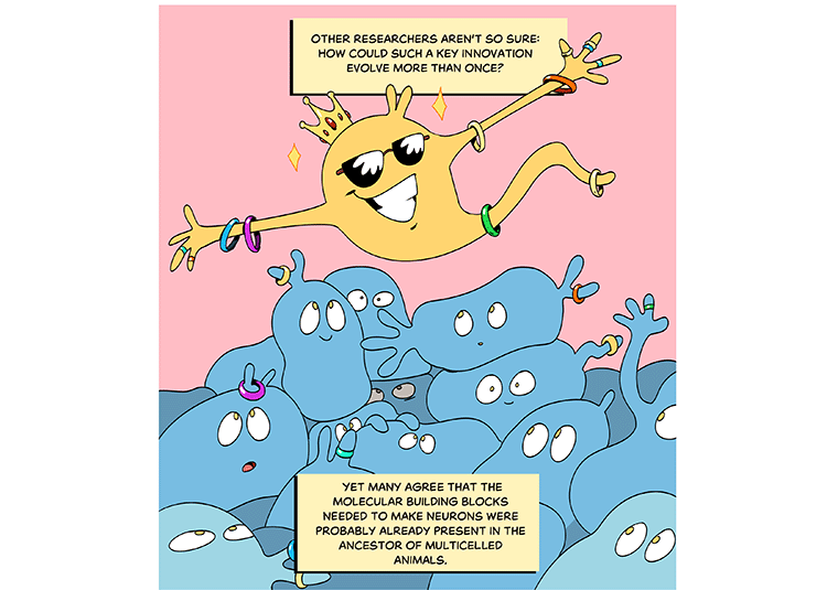 Text: Other researchers aren’t so sure: How could such a key innovation evolve more than once? Yet many agree that the molecular building blocks needed to make neurons were probably already present in the ancestor of multicelled animals. Illustration: Atop a pile of cells wearing different colored pieces of jewelry, lies a smug sunglass, wearing shining cell with all the pieces combined and a gold crown. It holds its arms out in self-congratulation. 
