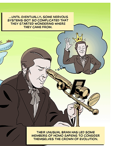 Text: …until eventually, some nervous systems got so complicated that they started wondering where they came from. Their unusual brain has led some members of Homo sapiens to consider themselves the crown of evolution. Illustration: A sepia-toned Victorian man looks through a primitive microscope and imagines himself with crown on his head.