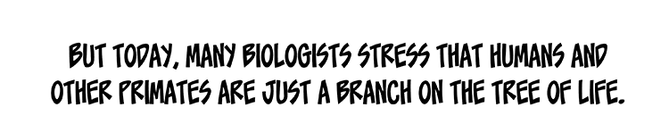 Text: But today, many biologists stress that humans and other primates are just a branch on the tree of life.