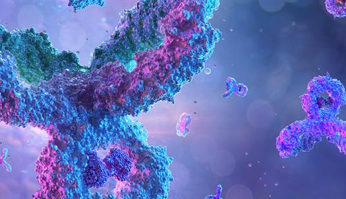 3-dimensional illustration of a bunch of purple-colored antibodies. Each looks like three Cheerios stuck together (except they’re purple).