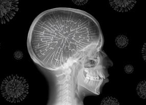 Covid and the brain: A neurological health crisis