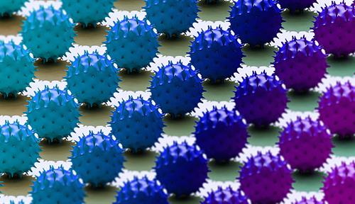 Illustration of a grid of many coronaviruses Illustration of a grid of many coronaviruses colored blue on the left and changing through to purple on the right. 