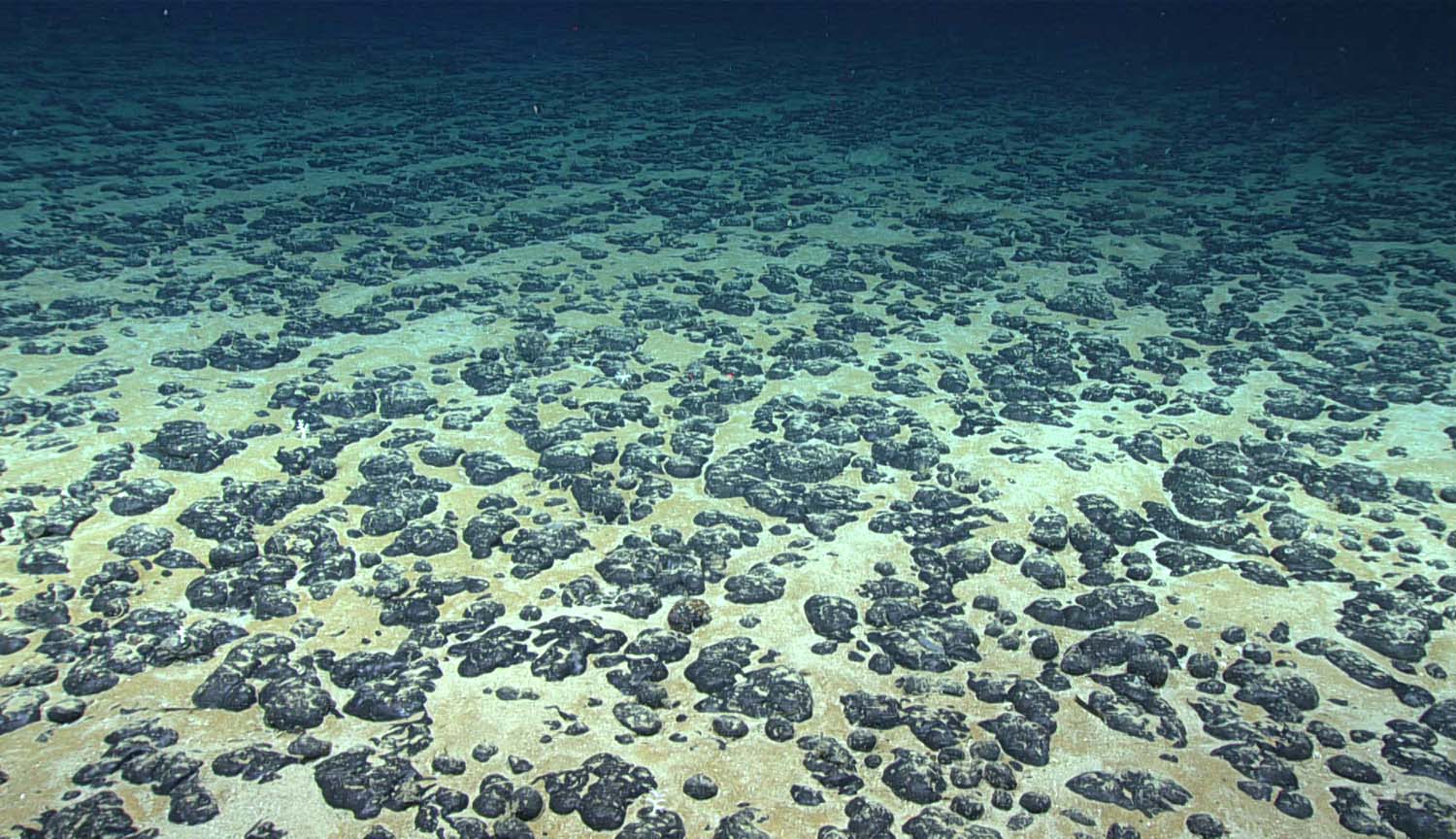 Photograph of sandy sea bottom covered in round nodules. The light is dim and greeny blue.