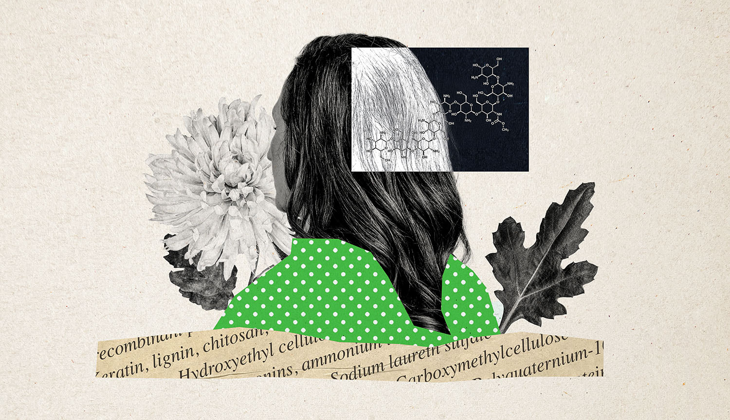 Collage of the back of a woman’s head, molecular structures, names of compounds in hair products, a flower and leaf.
