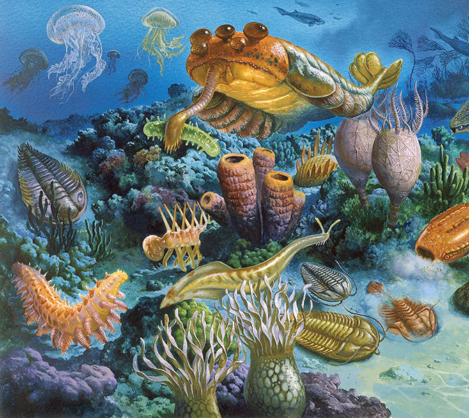 Illustration of a variety of early animal forms thought to have lived around the time of the Cambrian explosion.