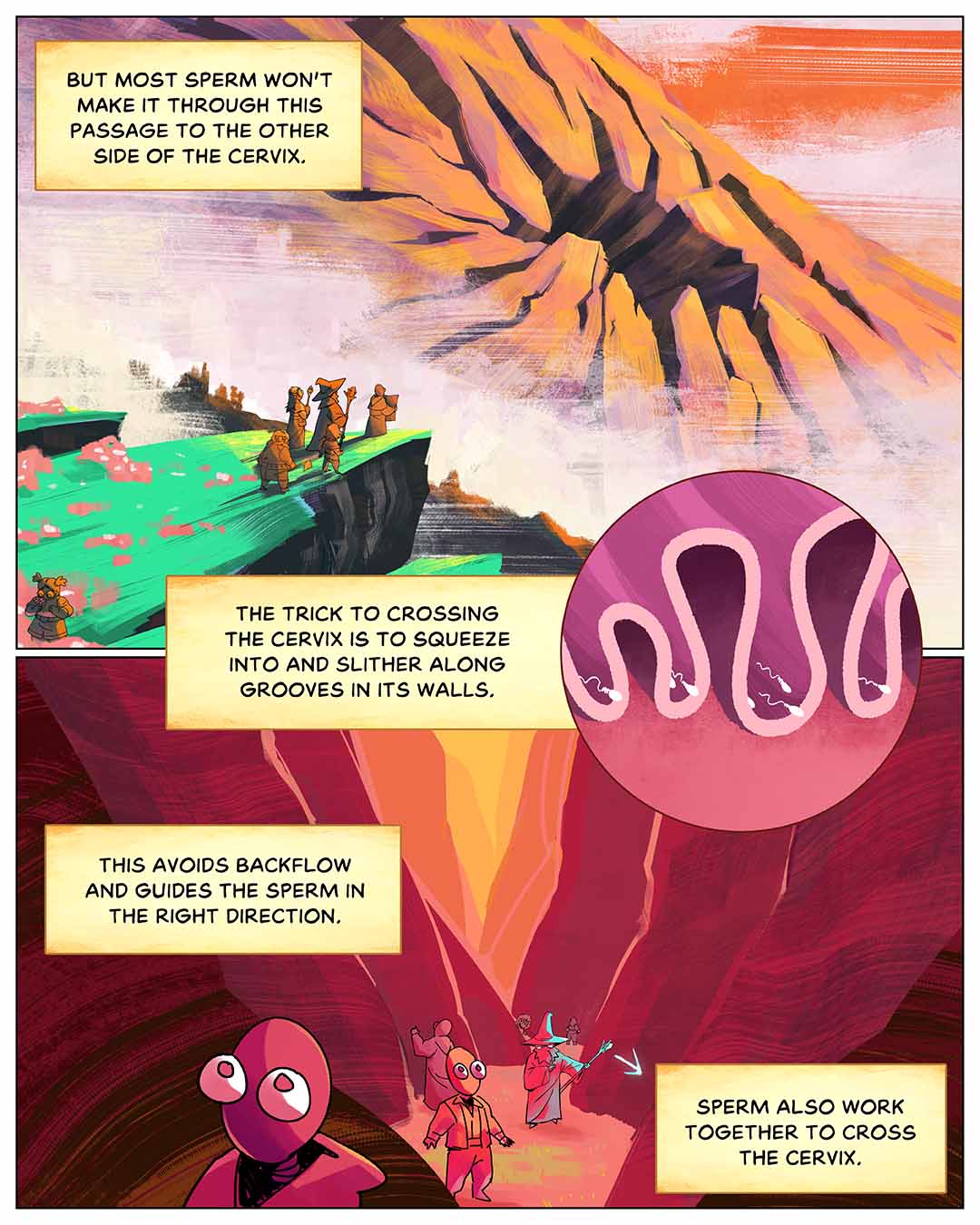 But most sperm will go no farther. The trick to crossing the cervix is to squeeze into and slither along grooves in its walls. This avoids backflow and guides the sperm in the right direction. Sperm also work together to cross the cervix. Illustration: Three views of the journey. One shows figures standing at the edge of a cliff looking toward a looming mountain with large cracks, representing cervical structures. The second is a detail view of sperm swimming through curvy structures of the cervix. The third shows figures walking through a narrow passageway with curving walls.