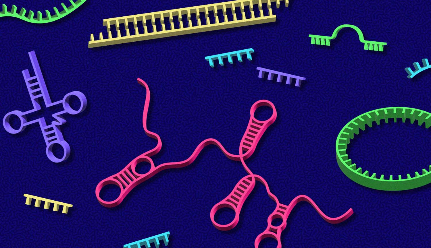 Colorful illustration shows RNA molecules of various shapes.