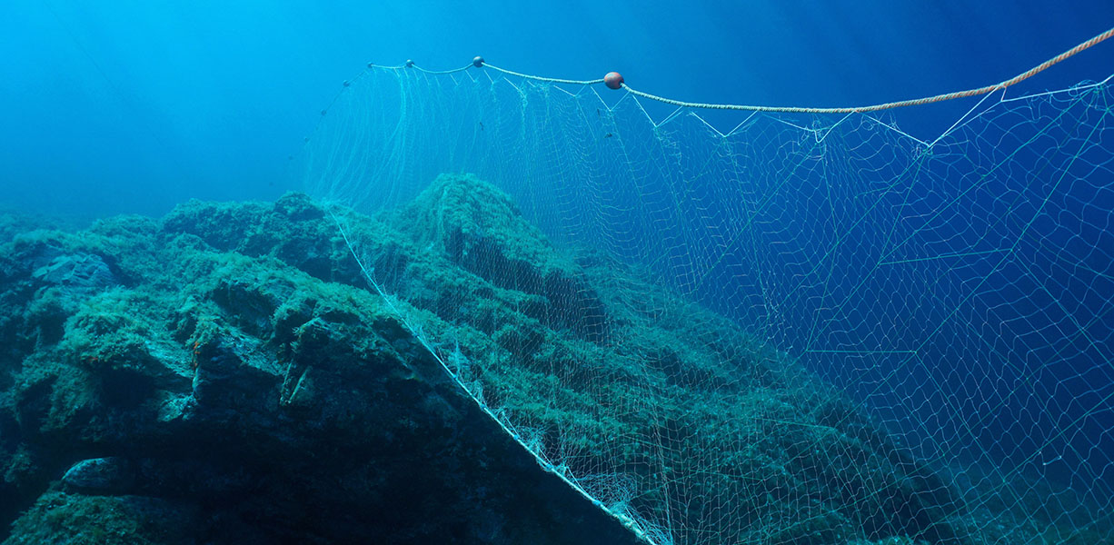 A long net hangs like a curtain along the ocean floor