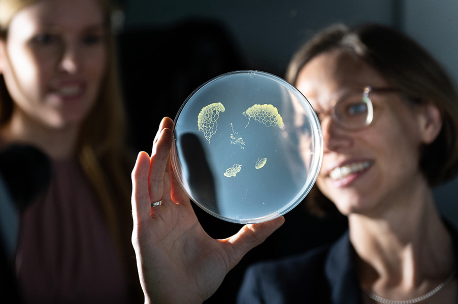 Photograph of Karen Alim holding up a petri dish on which a slime mold is growing.