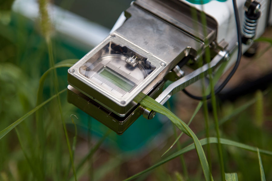 The image shows a measuring device fitted over a leaf.
