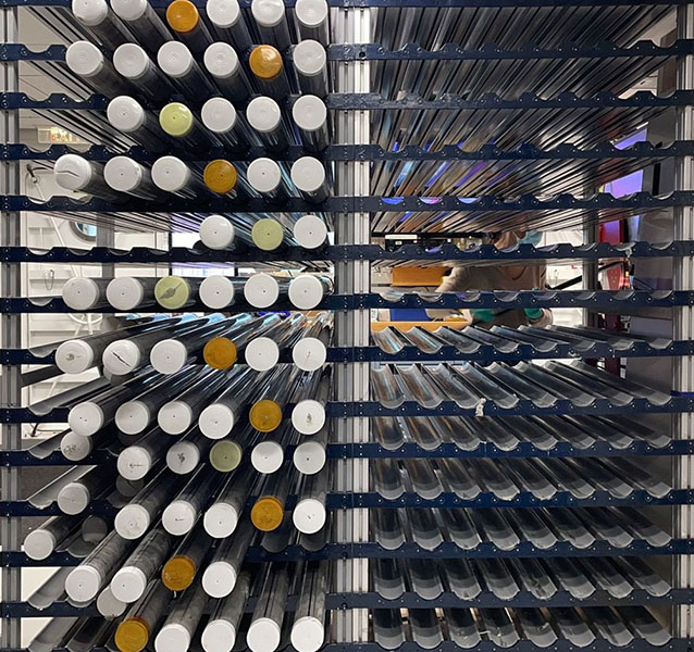 Shelves hold many cylindrical capped tubes for geology cores