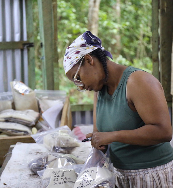 A woman uses a marker to label bagged samples.