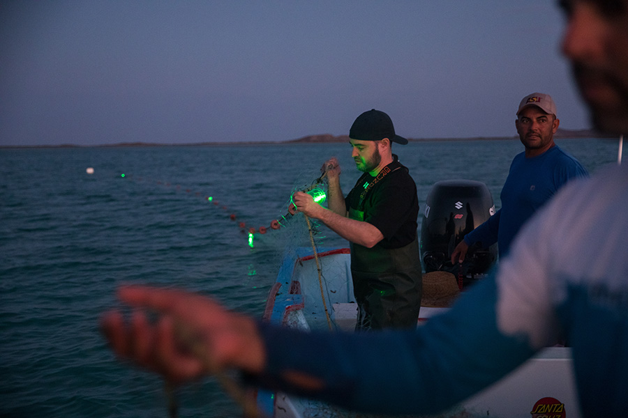 People stand on a boat in the dark holding nets with lights attached at intervals.