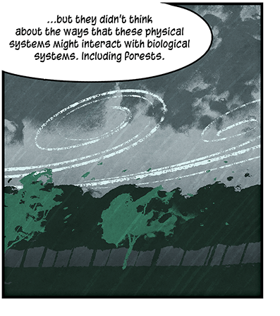 Illustration: Stormy scene with wind blowing through trees and gray skies, as narration from previous panel continues: “… but they didn’t think about the ways that these physical systems might interact with biological systems, including forests.”