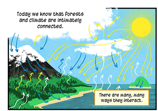 Text: Today we know that forests and climate are intimately connected. There are many, many ways they interact. Illustration: Landscape with arrows indicating movement between forest, beach, ocean, mountain, sky and sun.