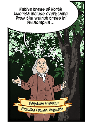 Text: Benjamin Franklin, Founding Father, Polymath. Illustration: Benjamin Franklin stands in front of a walnut tree, arms out, speaking: “Native trees of North America include everything from the walnut trees in Philadelphia…”