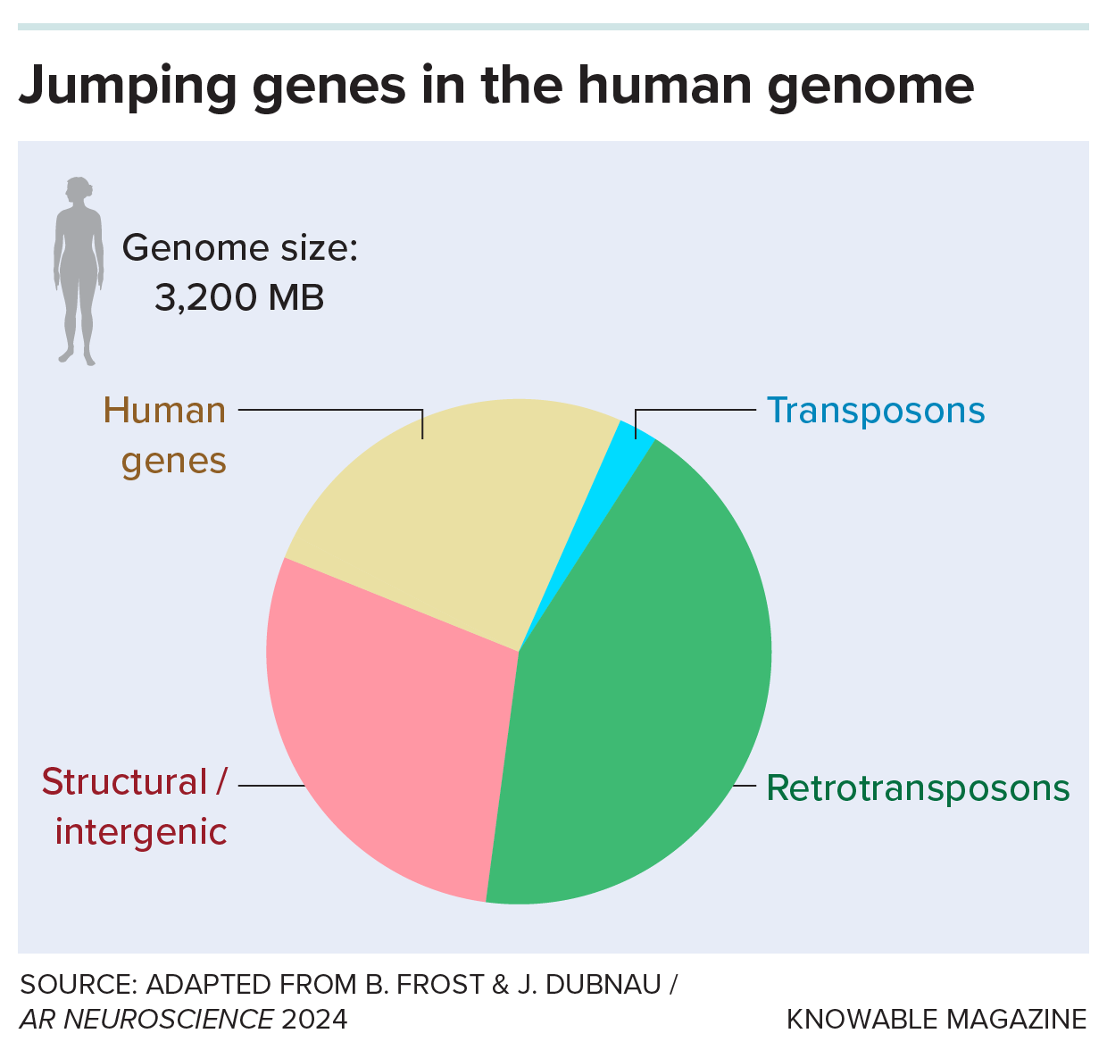 Pie chart shows that retrotransposons make up nearly half the human genome.
