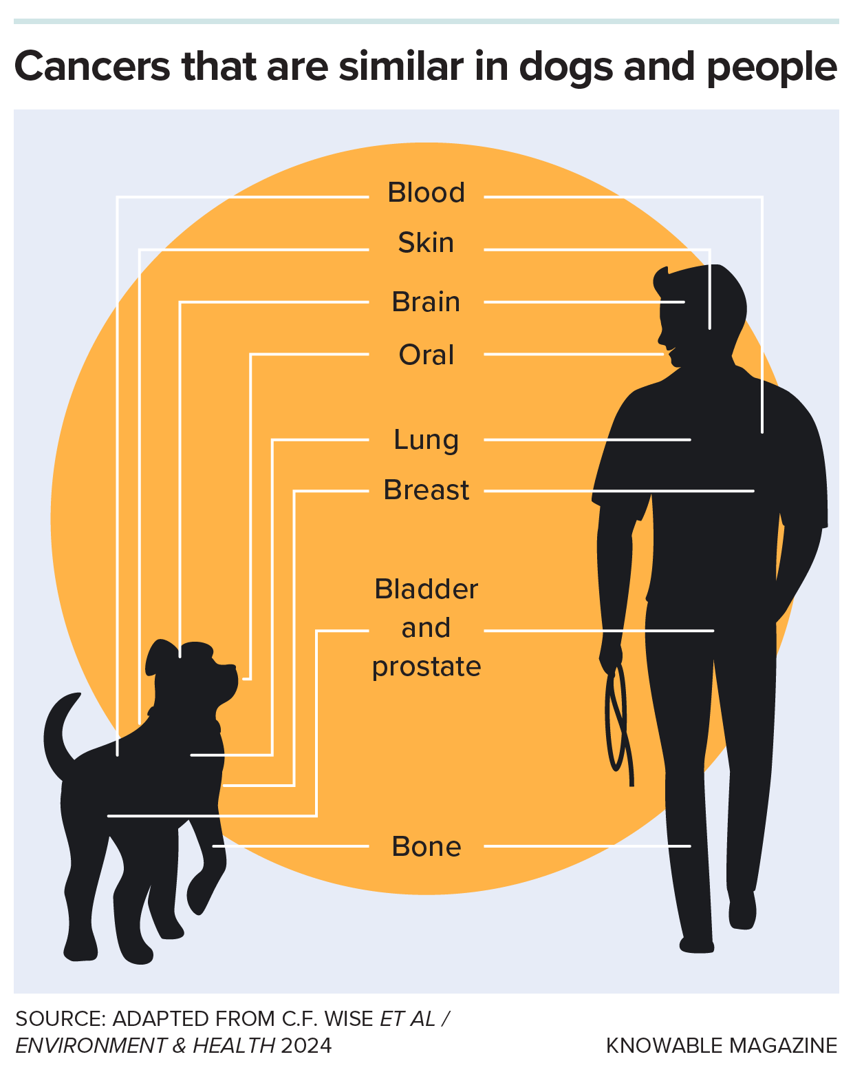 Silhouettes of a dog and a person with labels showing kinds of cancer that are similar