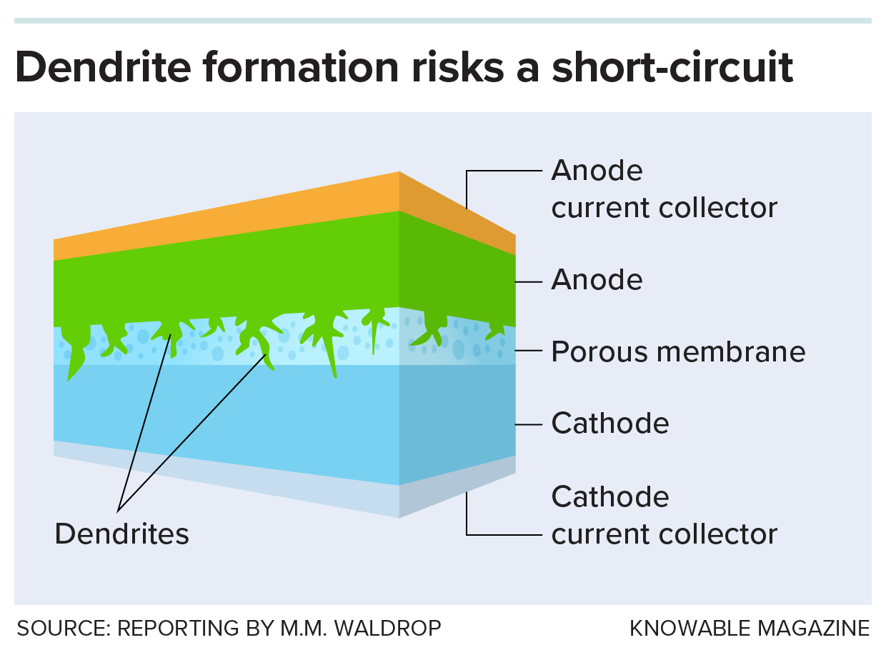 Simplified diagram of the design of a lithium-ion battery shows the tree-like growth of anode material into and across the porous membrane layer that sits between anode and cathode.