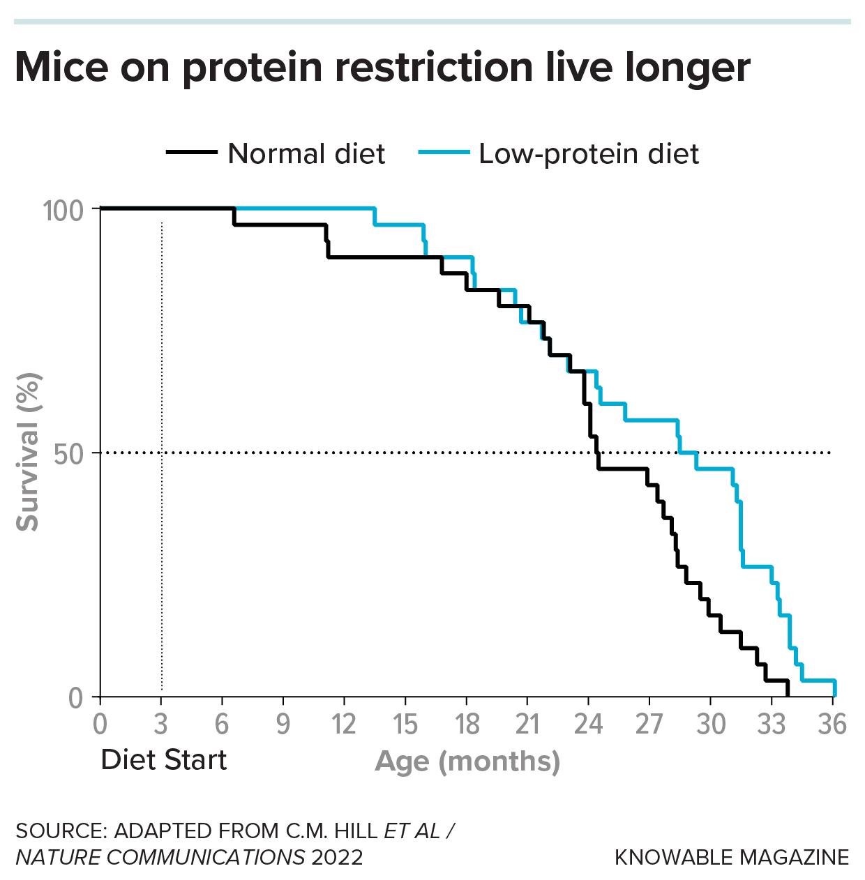 A line graph of mouse survival shows that rodents on a low-protein diet live for a few months longer than those on a normal diet.