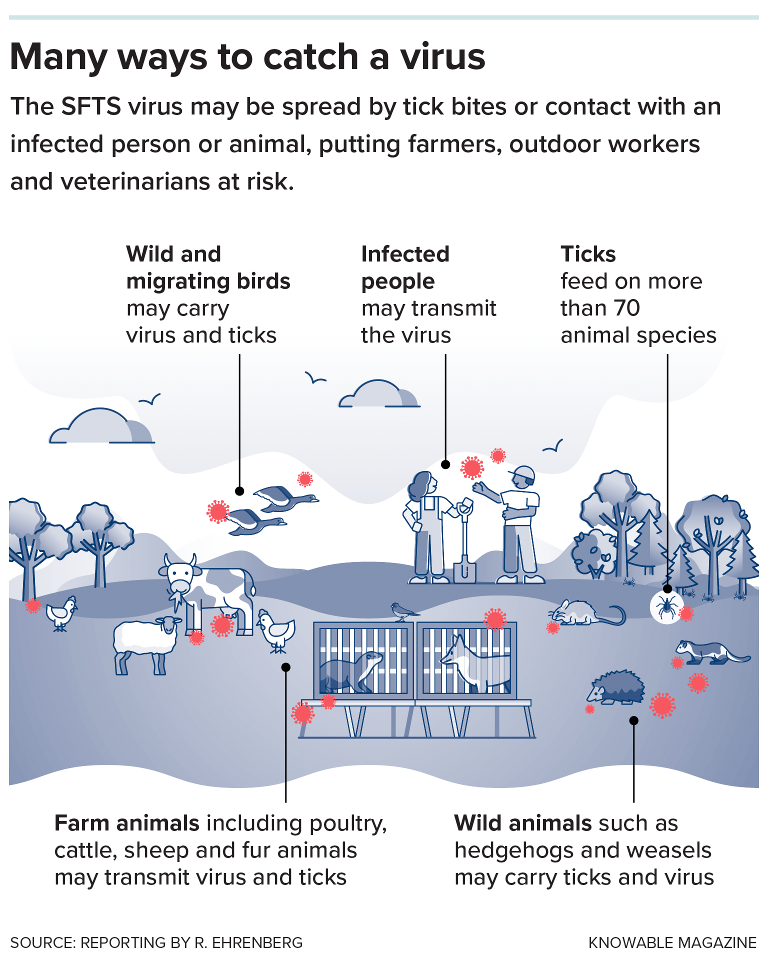 Graphic shows people, animals and wild animals on a farm; viral particles float among them.