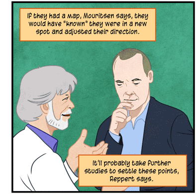 Text: If they had a map, Mouritsen says, they would have “known” they were in a new spot and adjusted their direction. It’ll probably take further studies to settle these points, Reppert says. Illustration: Two scientists, one in a white lab coat and the other in a suit jacket, in a discussion.