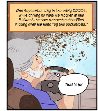 Text: One September day in the early 2000s, while driving to visit his mother in the Midwest, he saw monarch butterflies flitting over his head “by the bucketload.” Illustration: Neurobiologist is behind the wheel and looking up at swarm of monarch butterflies, with thought bubble above his head that says: “That’s it!”