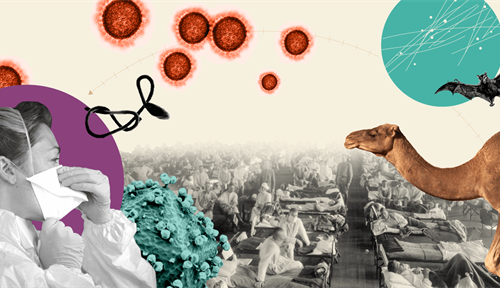 Collage showing viruses, historical photo of patients in hospital beds, photo of a woman wearing a mask and a bat, rabbit, mouse and camel.
